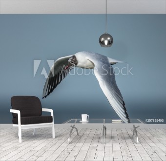 Picture of Mwe i flug